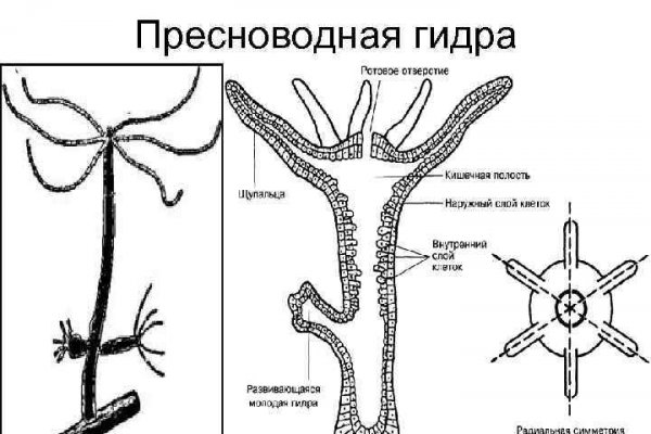 Почему не работает сайт кракен