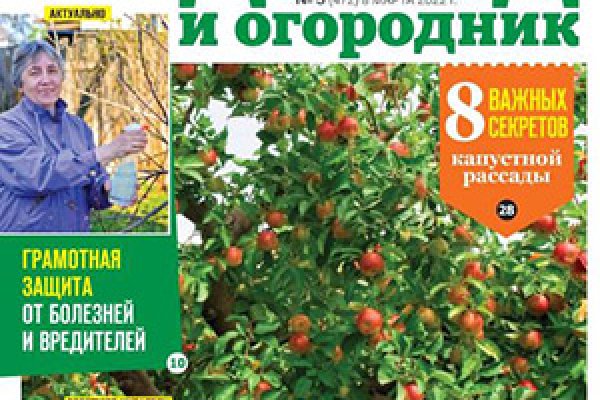 Kraken официальный сайт ссылка krk store com