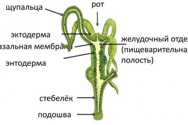 Кракен что продается