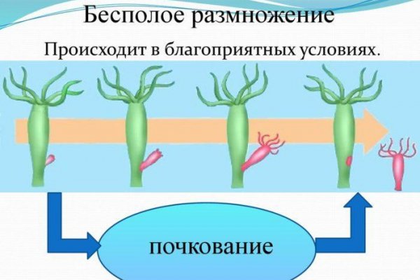 Кракен омг мега