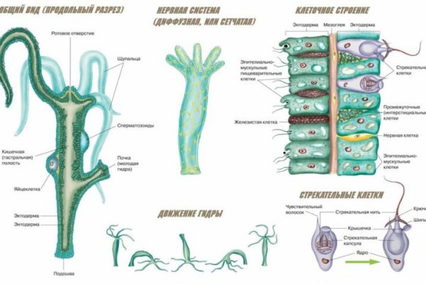 Kraken сайт даркнет