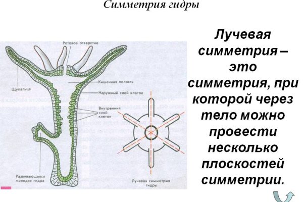 Кракен магазин ссылка